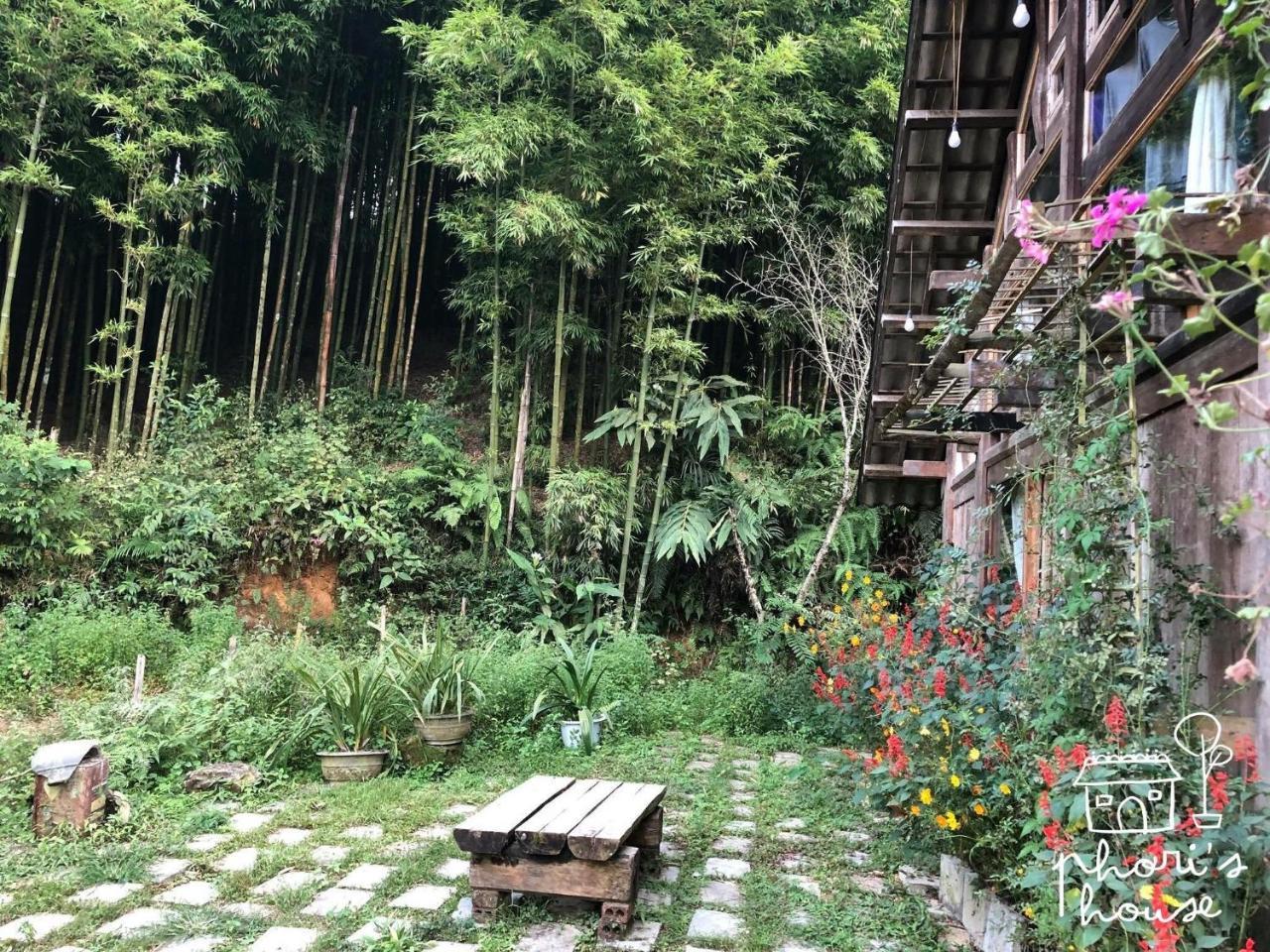 Phori'S House - Bamboo Forest سابا المظهر الخارجي الصورة