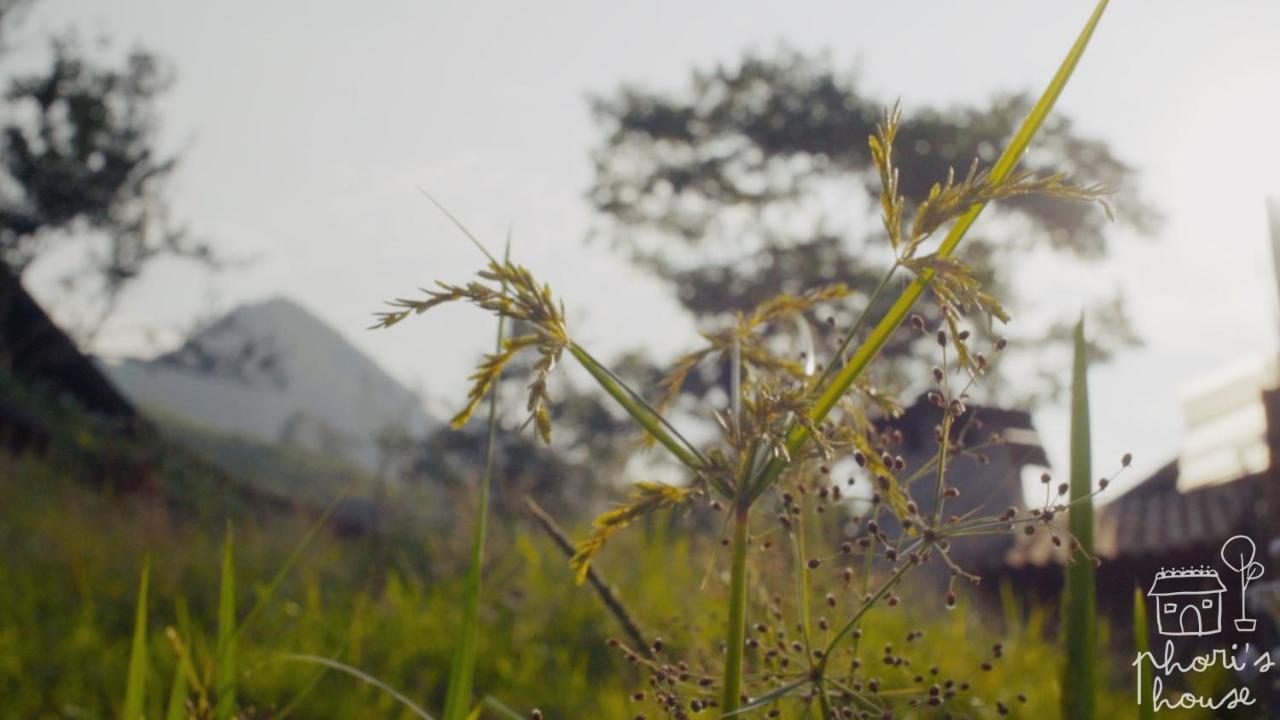 Phori'S House - Bamboo Forest سابا المظهر الخارجي الصورة