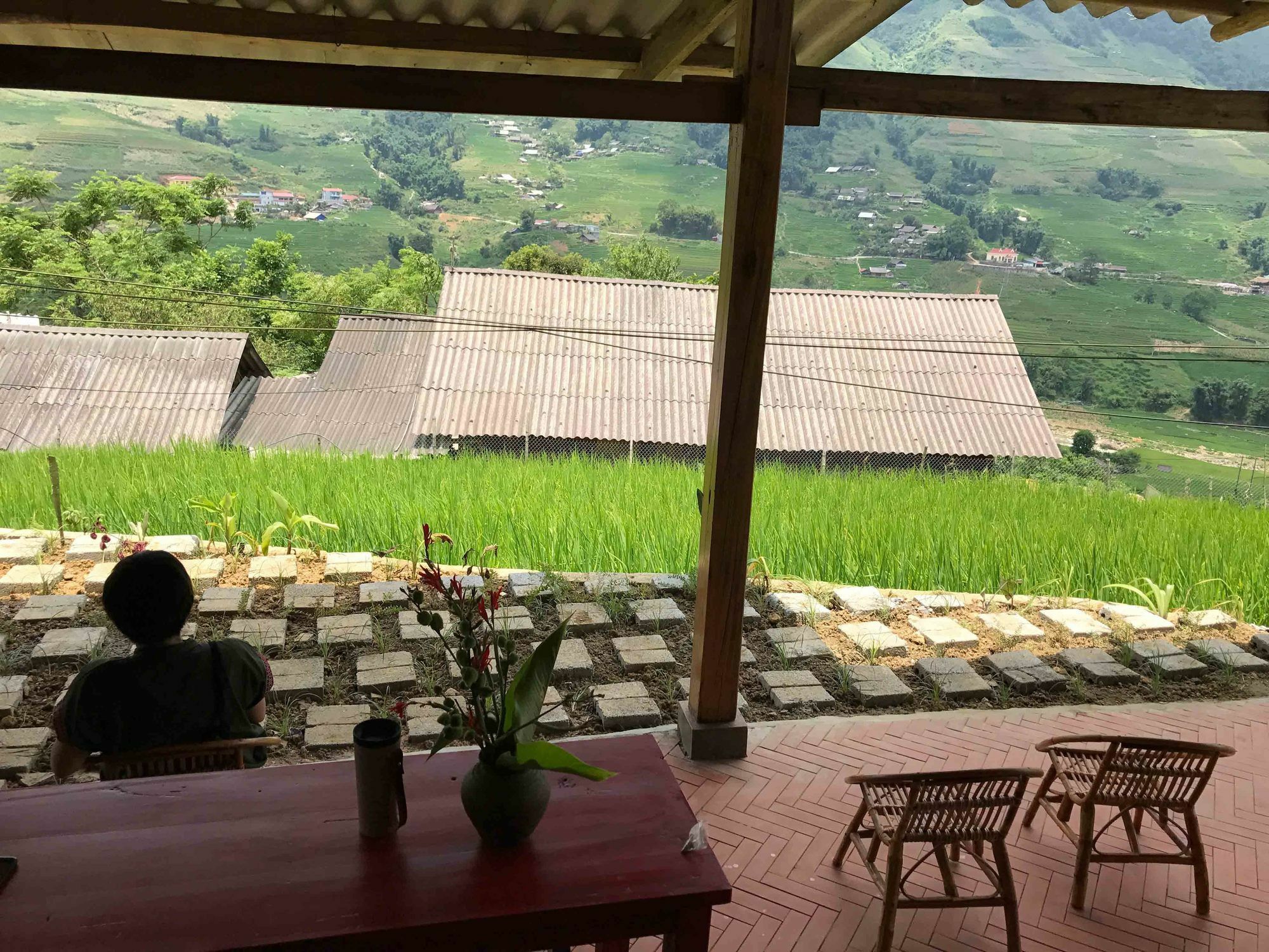 Phori'S House - Bamboo Forest سابا المظهر الخارجي الصورة