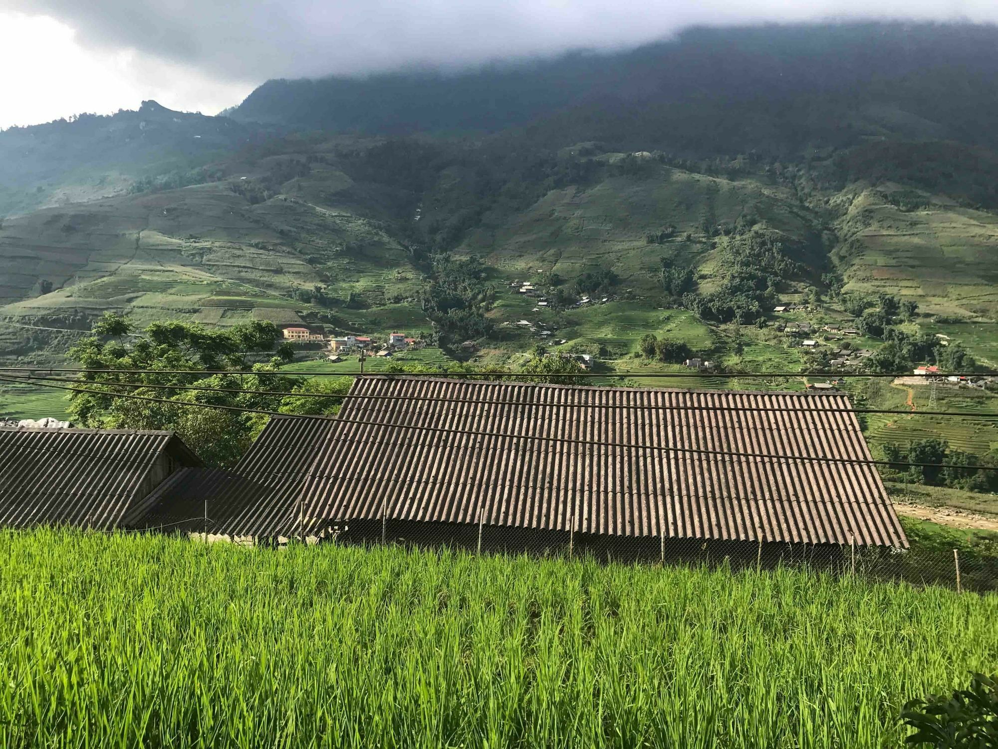 Phori'S House - Bamboo Forest سابا المظهر الخارجي الصورة